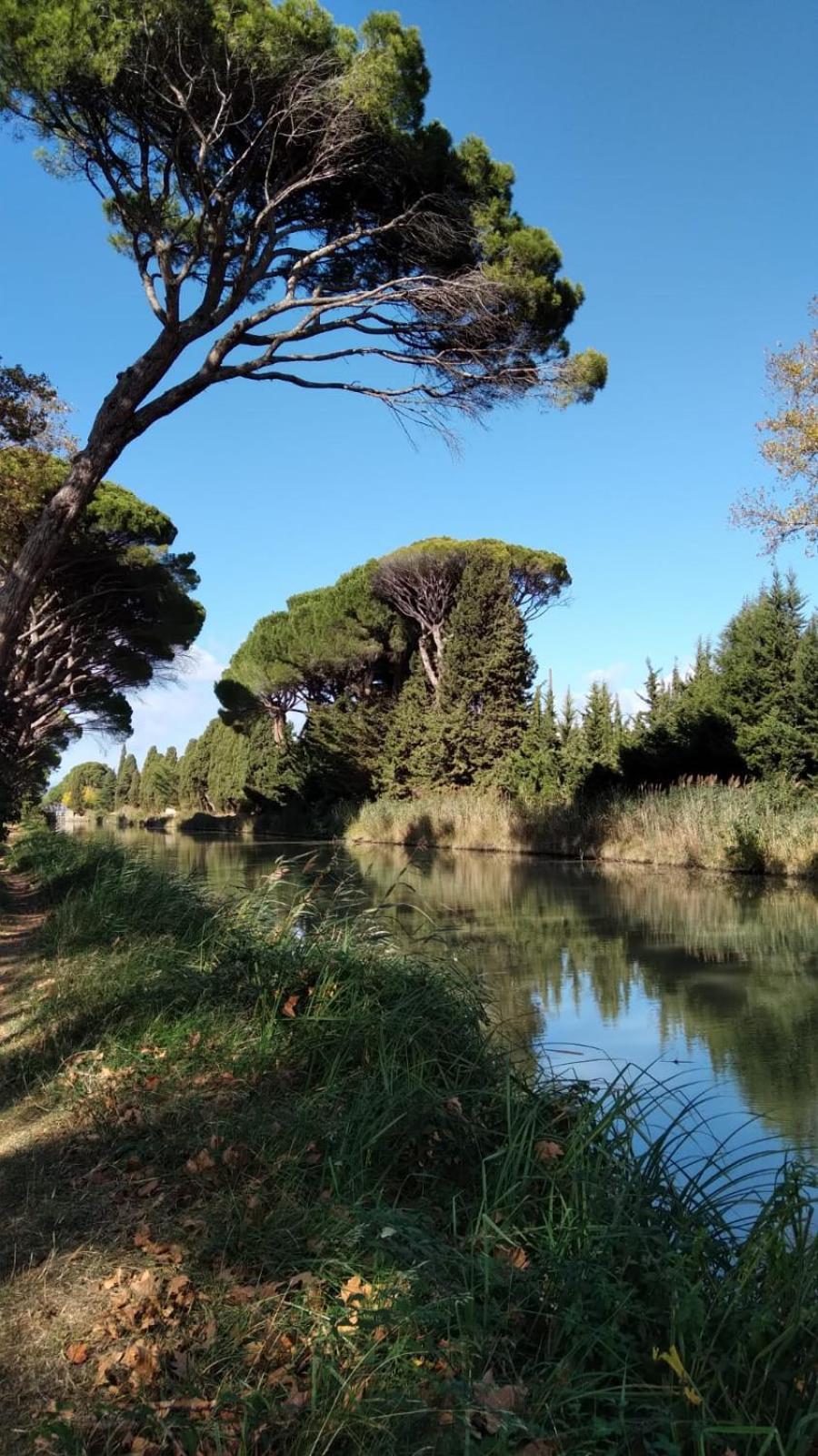 La Promesse De L Aude Appartement